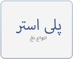 پلی استر